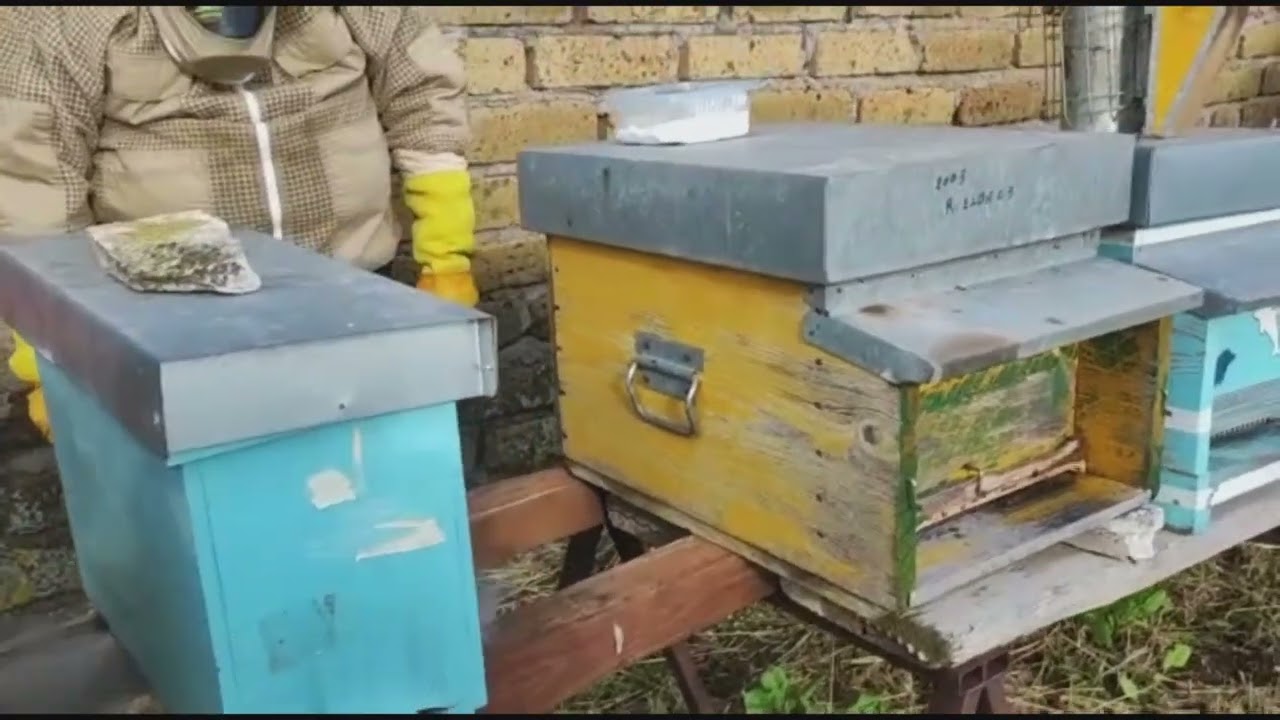 Funziomamento sublimatore tecnapi 120