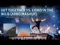 Lucas &amp; Steve vs. Martin Garrix - Get Together vs. Lions In The Wild (ArBo Mashup)