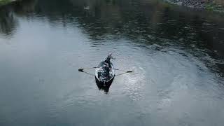 Wolf Creek Angler