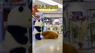 Download Lagu Cute Panda Shorts 🤩 MP3