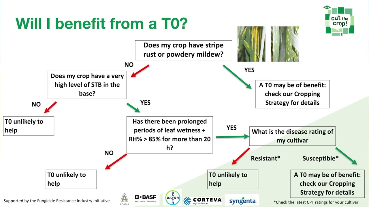 S5EP35 - Do you really need that T0 fungicide?