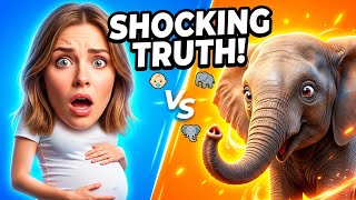 🤱 Animals And Human Pregnancy Period | Shortest To Longest Animals Gestation Period🐘 #facts #explore
