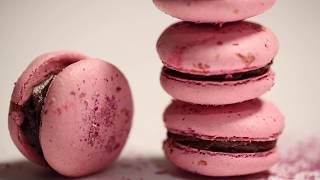 Makaron - Servogas 101 screenshot 2