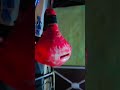 Dream cycle #shorts #shortvideo