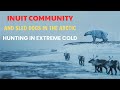 Hunting in Extreme Cold: Inuit Community and Sled Dogs in the Arctic | ASMR