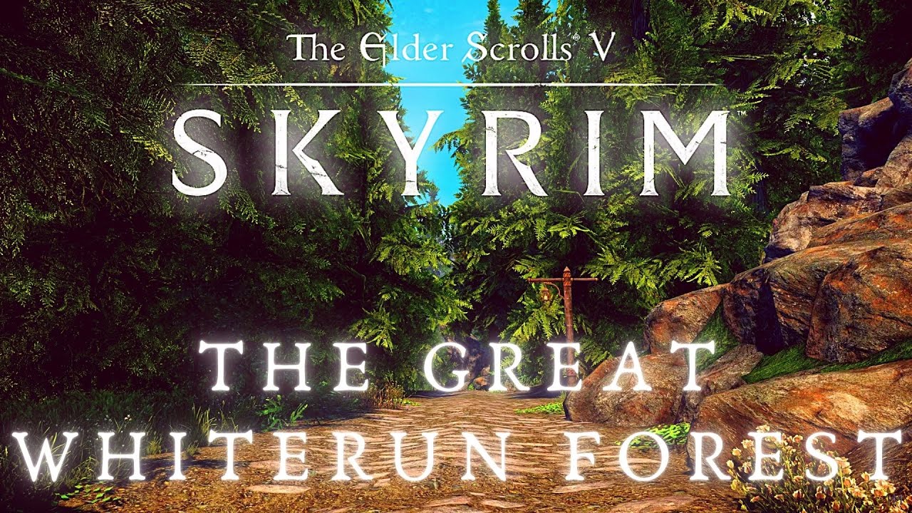 The Elder Scrolls on X: This month's featured #Skyrim Special