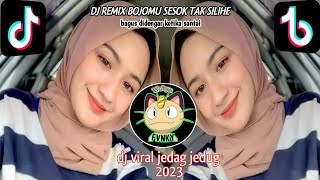 DJ remix bojomu_sesok_tak_silihe djviral tiktok2023