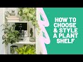 PLANT SHELF 101: HOW TO PICK OUT AND STYLE A #PLANTSHELFIE