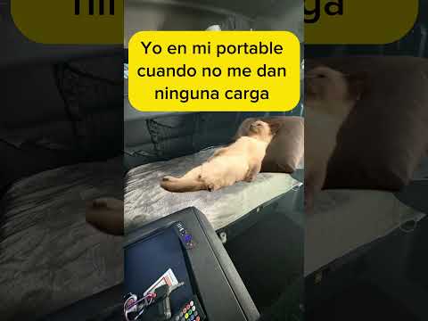 Yo ahorita #trailerosdela57 #camion #camionero #trailero #trokeros #trailer #humor #mexico #comedia