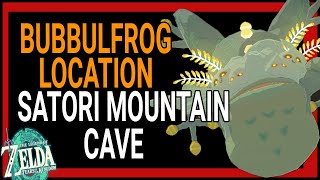 Bubbulfrog Location | Satori Mountain Cave | Zelda Tears of the Kingdom | Zelda Cave Frog Guide
This video shows where to find the Bubbulfrog in Satori Mountain Cave in Zelda Tears of the Kingdom.
Thanks for watching!
-VideoGameSherpa Bubbulfrog Location | Satori Mountain Cave | Zelda Tears of the Kingdom | Zelda Cave Frog Guide