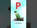 P for Parrot 🦜 | ABC Learning for Kids #Shorts