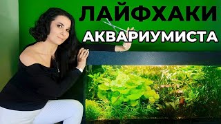 Лайфхаки аквариумиста. Уход за аквариумом.