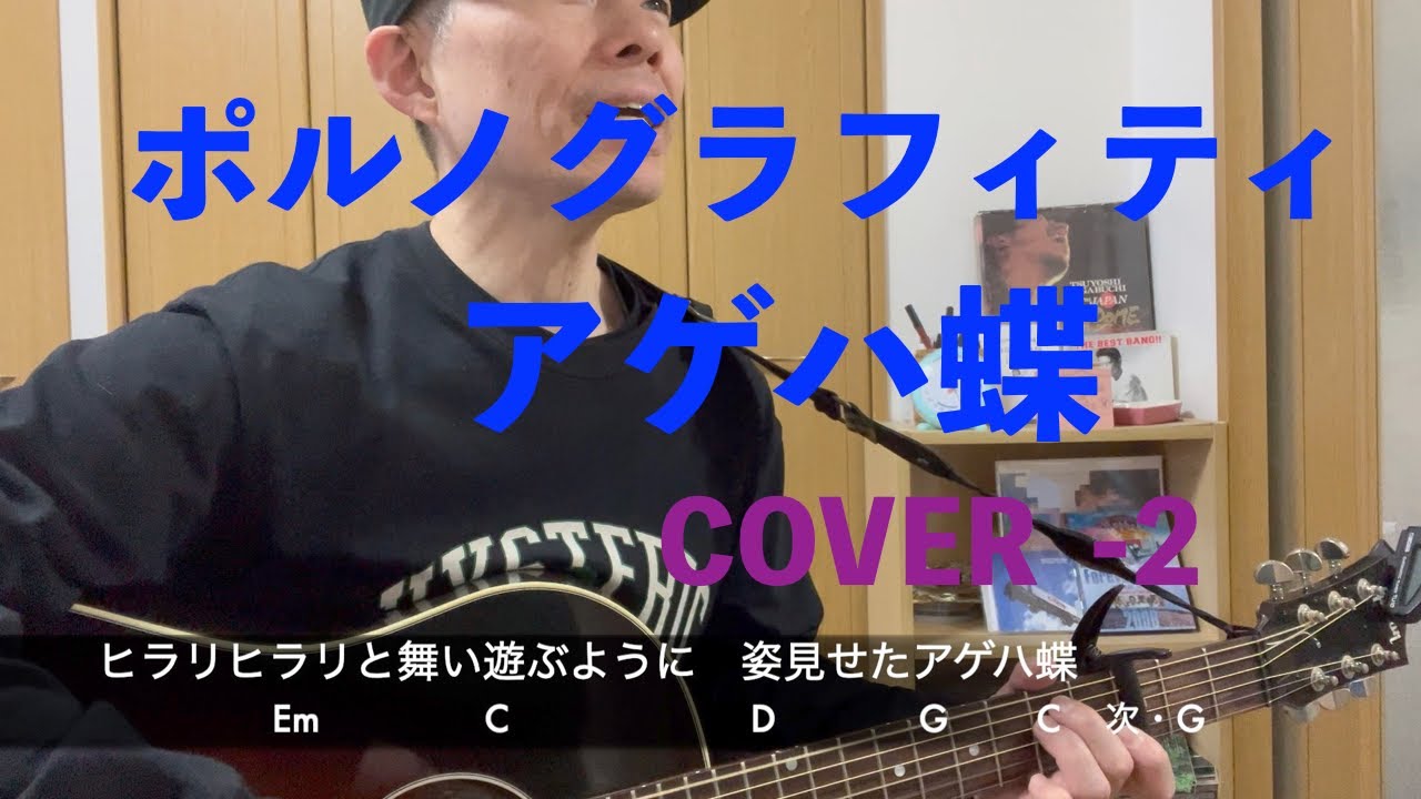 アゲハ蝶ポルノグラフィティCOVER　リクエストありがとうございます