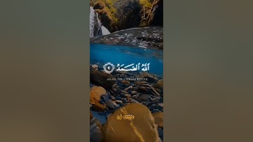 سورة الإخلاص #القرآن_الكريم