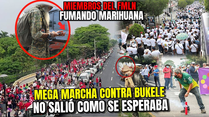 ESTO ESTÁ PERR0 AHORITA 😱 SE AGARRARON TODOS