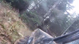 Island Lively --Don't want to say Goodbye & She is the River --