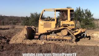 CAT D5M DIGGING TREE GRAVE!!! PART 4