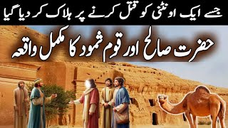 Hazrat Saleh As ka Waqia | Full Story of Prophet Saleh (AS)