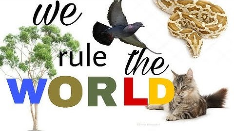 SILENT INVADERS | what are invasive species and how are they messing up the world |