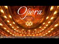 Opera Overtures Instrumental Arias 