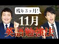 英語の実力は11月時点でどこまで必要？英作文対策も紹介〈受験トーーク〉