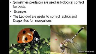 12th ch 13 population interaction PREDATION