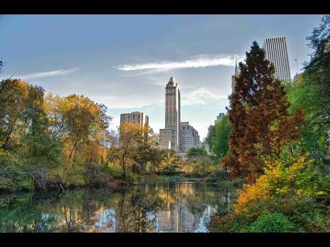 第五期 | 探秘纽约中央公园的亿万富豪之路！