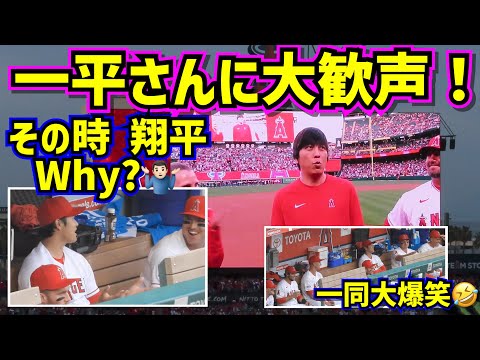 開幕セレモニーで一平さんに大歓声‼️その時大谷がWhy?ダグアウト大爆笑🤣【現地映像】4/7vsブルージェイズ ShoheiOhtani Angels