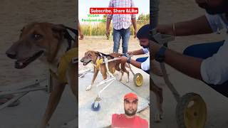 Paralyzed But Not Hopeless