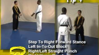 one step sparring 1