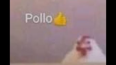 my brain hurts | Quaver