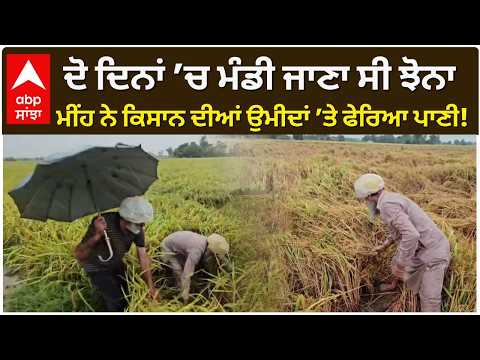 ਦੋ ਦਿਨਾਂ ’ਚ ਮੰਡੀ ਜਾਣਾ ਸੀ ਝੋਨਾ, ਮੀਂਹ ਨੇ ਕਿਸਾਨ ਦੀਆਂ ਉਮੀਦਾਂ ’ਤੇ ਫੇਰਿਆ ਪਾਣੀ!