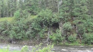 9 Часть - Таежный РАЙ в Тайге ВОДОПАД в ТАЙГЕ  Ломает ЛЬДЫ УАЗ  ЛЕДЯНОЙ ЧАЙ Свист Рябчика НОРКА
