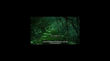 تلاوة عطره من سورة النمل❣