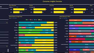 Sapphire Customer Intelligence Portal - Retail Execution