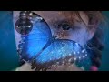 Krisu Beyond Butterflies 