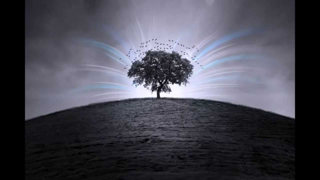 Principles Of Art Emphasis : The principles of design emphasis youtube