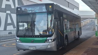 [After Hour CAT] Transperth Bus Yellow CAT Route No. 13 (TP2942) Joondalup Station ↺ Joondalup ECU