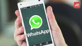 WhatsApp For iPhone Can Now Play YouTube Videos With Picture-In-Picture Mode.. | YOYO Times screenshot 3