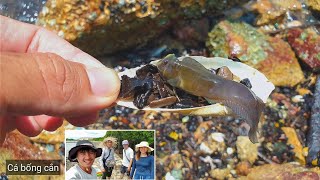 Khám phá sinh vật biển dưới những tảng đá, gặp cá bống cắn, cúm núm, trùn biển và một số loài ốc screenshot 4