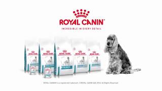 Royal Canin Canine Dermatology