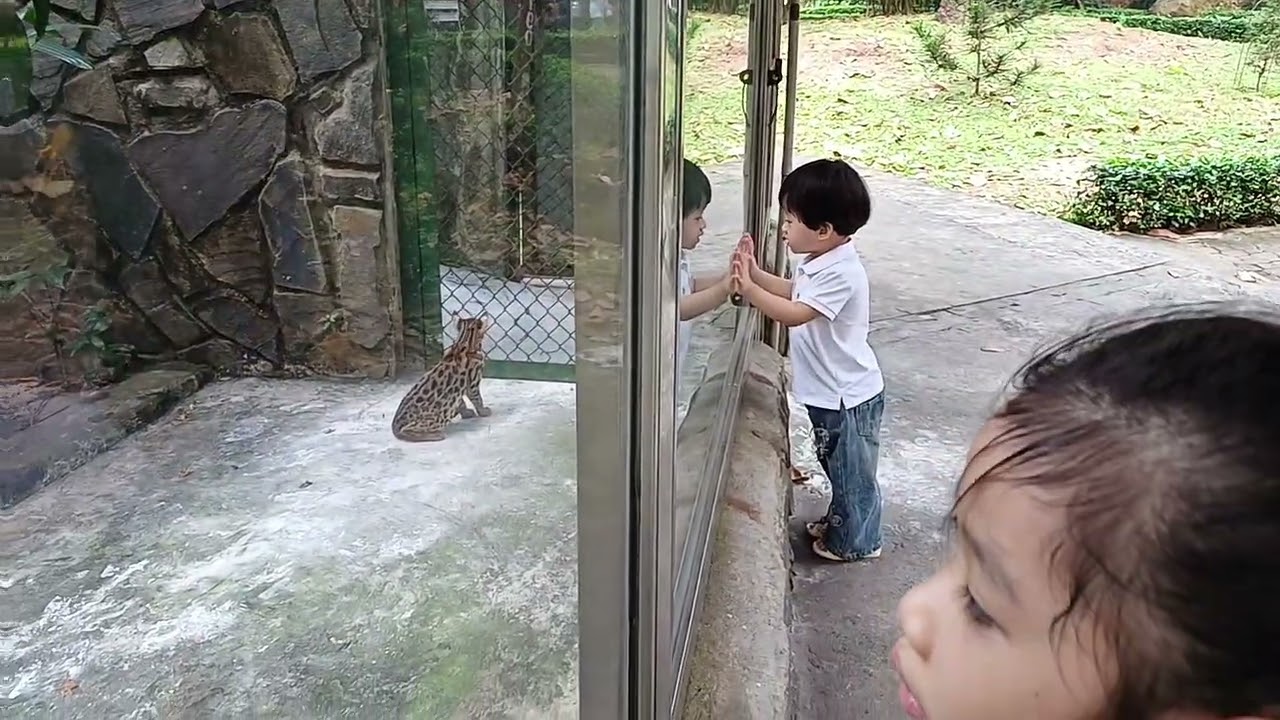 Đi THẢO CẦM VIÊN