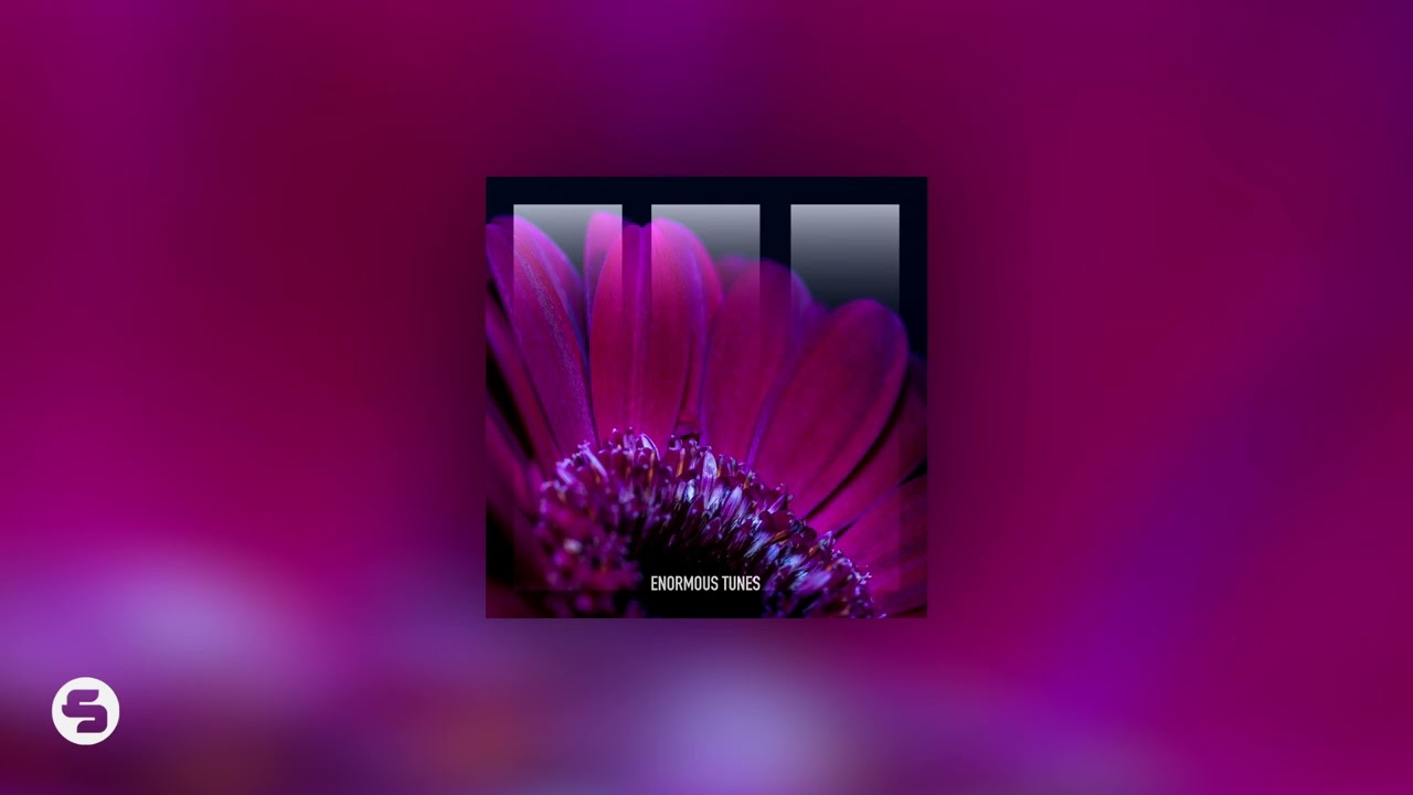 Helvetic Nerds - Black Hole