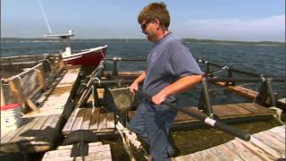 Marine Aquaculture: A Promising Future
