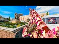 Call of Duty Warzone 3 Solo Gameplay TAQ Evolvere  PS5(No Commentary)