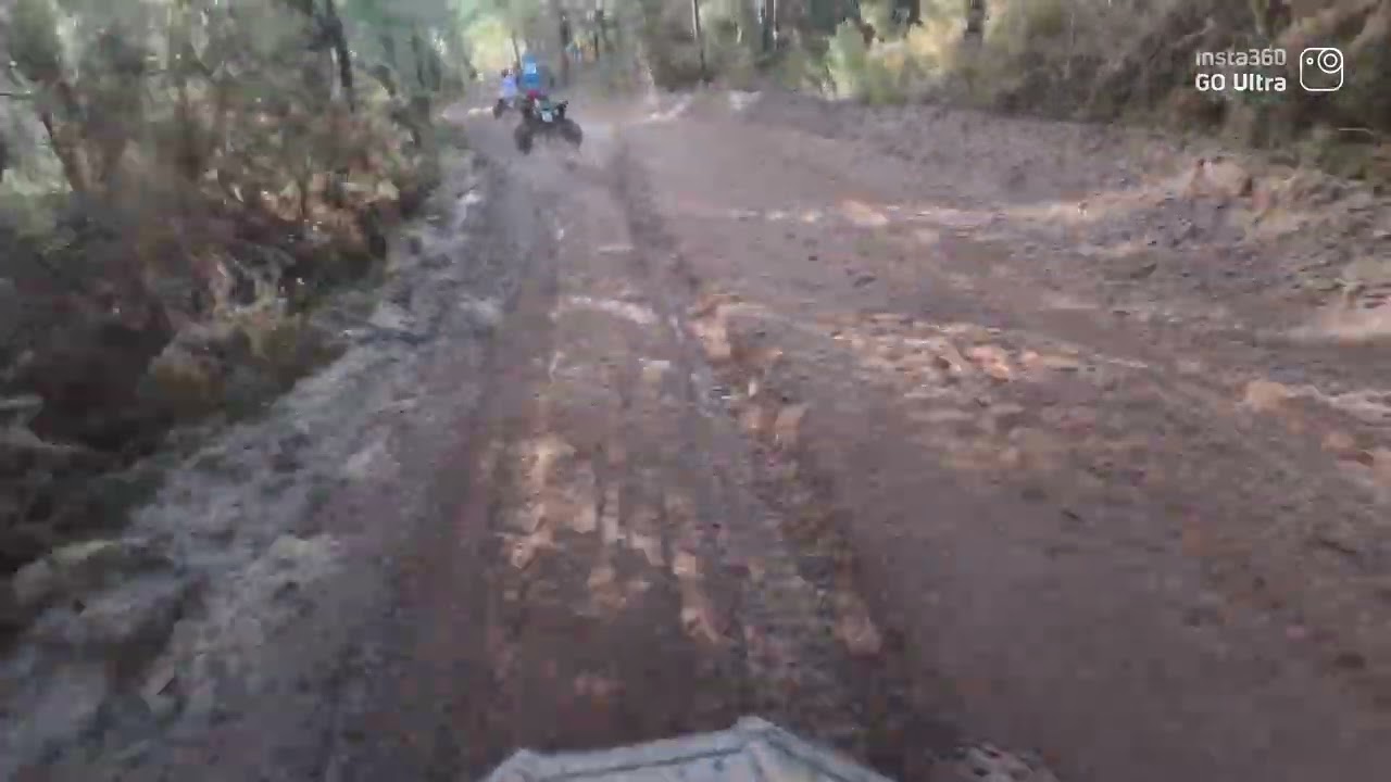 CFS # 5.  Grayan 2026