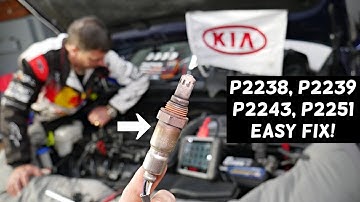 KIA CODE P2238, P2239, P2243, P2251 KIA FORTE RIO SORENTO SPORTAGE SOUL OPTIMA
