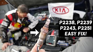 Information KIA CODE P2238, P2239, P2243, P2251 KIA FORTE RIO SORENTO SPORTAGE SOUL OPTIMA Update
