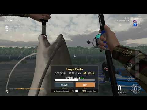 305lb! Amazonian Maze Unique Piraiba - Fishing Planet - YouTube