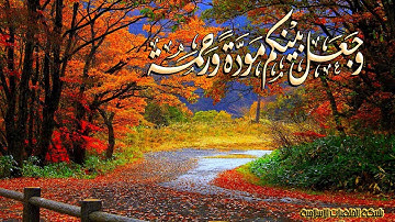 تلاوة مؤثرة سورة ق - الشيخ ناصر القطامي www.qoranet.net